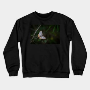 Common Mestra Butterfly South Texas Crewneck Sweatshirt